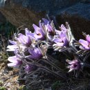 덕포우회길 이미지