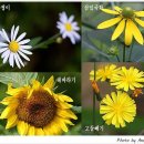 송이와다발 - 남동구 석산로 3 | 송이와다발