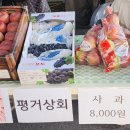 도운상회 네이버블로그