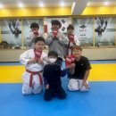 호돌이태권도체육관 이미지