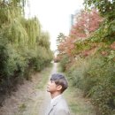 테이 카카오 검색결과