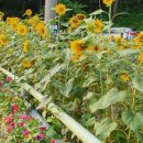 남해-191 이미지