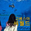 씨월드 | 아이랑 가기 좋은 고베 스마 씨월드, 범고래쇼 관람 후기