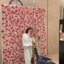 [강남 프리미엄 실버타운 더시그넘하우스] 2025 더시그넘하우스 &#34; 장미 축제 🌹 &#34;