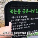 개운산계곡 옹달샘 이미지