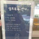 순도리네애견 | 순돌이가 만족했던 대구 애견카페 블루멍 Blue mung