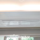 파르테 이미지