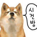 젠디