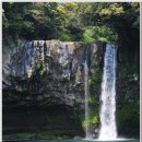 천지연 폭포 이미지