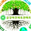 호림태권도체육관 네이버블로그