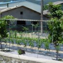 구산면583 이미지