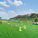 경주 별빛키즈 애견 풀빌라 이미지