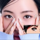 다비치안경 대전유성점