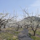 형제 농장5 이미지