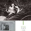 중부-현장-중부-1973 이미지