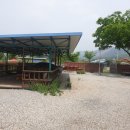 오수물막국수 이미지