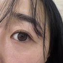 룩스토어 위드렌즈 진천점 | 뉴트럴무드 그레이 룩스토어 위드렌즈 대구진천점 원데이 컬러렌즈 예뻐