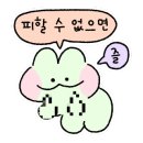 네츠이 이미지