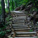 용현자연휴양림 이미지