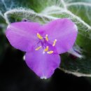 미소와행복 이미지