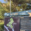 댕댕놀이터 | [후기] 포항 댕댕동산/ 반려견 무료 놀이터/대형견