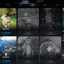 펫파트너 주식회사 이미지