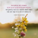 [CTS 말씀이미지] 사도행전 17장 25절 #말씀이미지 #감경철 #CTS #핸드폰배경화면 이미지