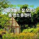 경남 봄 명소 총정리! 이미지