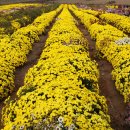 향동초등학교 이미지