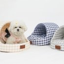 쿨 퍼피 이미지