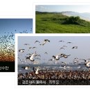 한국생태관광사진 공모전 안내 이미지