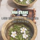 나트랑 깜란 마사지 추천 신상 마사지샵 가든스파 후기 +깜란 전 지역 픽업