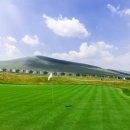 초원골프연습장 이미지