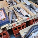 스시쿠니 이미지