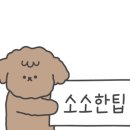 포토이즘동성로스튜디오 이미지
