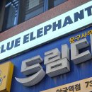 안국안경 | [안국 플래그십 추천] 패션의 완성이 필요할 때, 블루엘리펀트 안국점에 가게 되