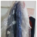 베스트크린세탁