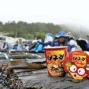 43 이미지