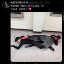 재택근무자에게 장마란,,
