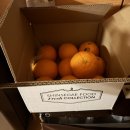 오렌지푸드 | [리뷰] SSG푸드 직수입 고당도 오렌지 🍊 3kg 체험단 후기