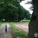 남원 백두대간 힐링 캠핑장 이미지