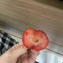 이삭푸드서비스(주)미래산후조리원 | [시나일기] 28주/ 임신 후기 돌입/ 엄마들의 평생육아/ 산후관리사예약/ 육아용품 준비 시작