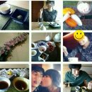 모모야마무궁화 이미지