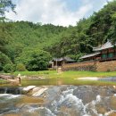 김전6-9 농로 | 경북 봉화ㅡ여름 끝이 않보이는 경북 봉화···계곡아 남은 더위 씻어 가거라....