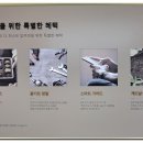 왕궁초등학교병설유치원 이미지