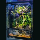 아쿠아데이 이미지