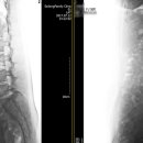 세종탑재활의학과의원 이미지