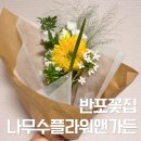 미소나무태권도장(줄기관) | 서울 꽃배달 반포꽃집 나무수플라워앤가든 싱그러운 꽃다발 후기