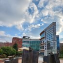 혼자여도괜찮지만 | 📚 책 후기) 여행은 언제나 용기의 문제 ~~하지만 요즘은 혼자 여행하기 너무 무서운걸 🙀