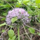 두메농장 이미지